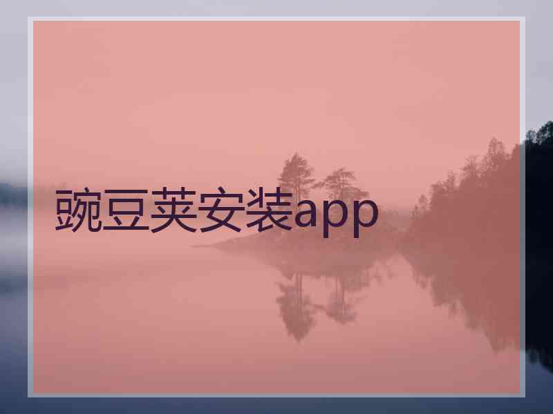豌豆荚安装app