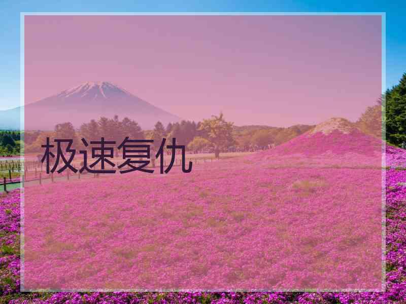 极速复仇
