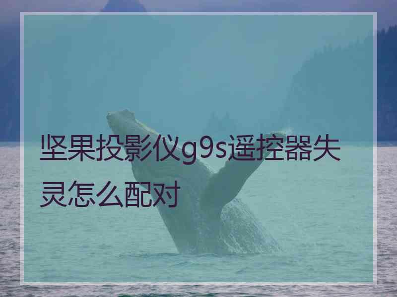 坚果投影仪g9s遥控器失灵怎么配对