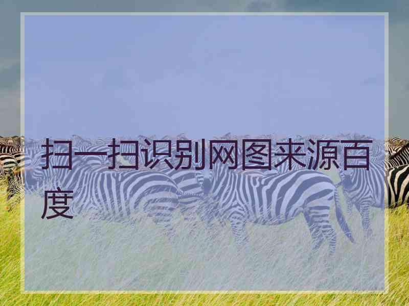 扫一扫识别网图来源百度