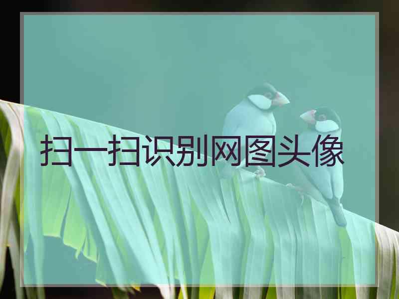 扫一扫识别网图头像