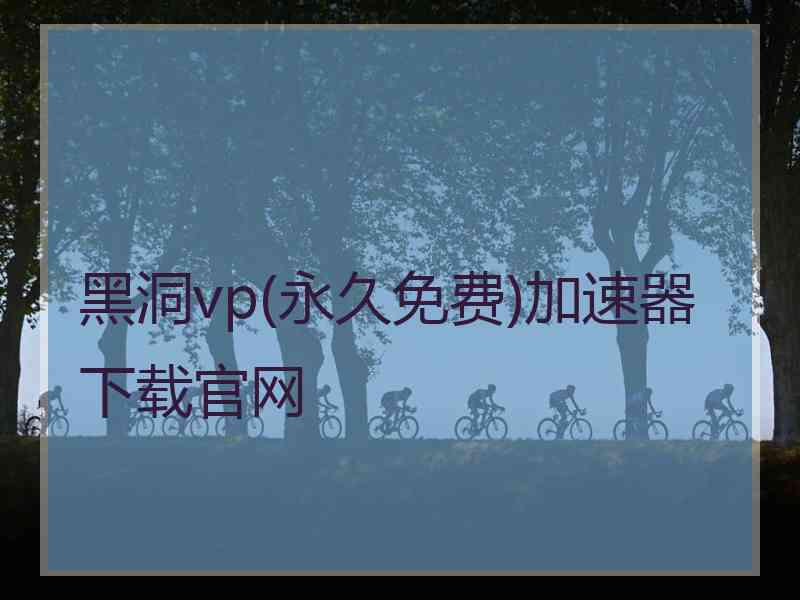 黑洞vp(永久免费)加速器下载官网