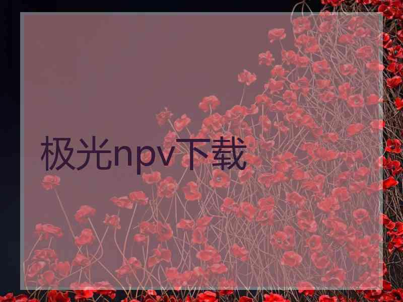 极光npv下载