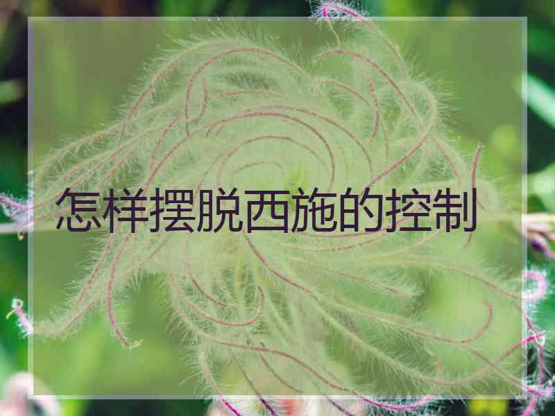 怎样摆脱西施的控制