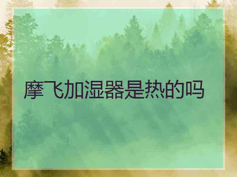 摩飞加湿器是热的吗
