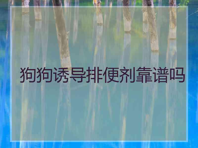 狗狗诱导排便剂靠谱吗