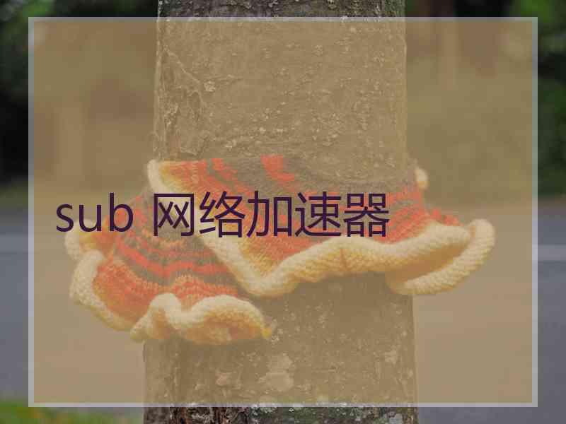 sub 网络加速器