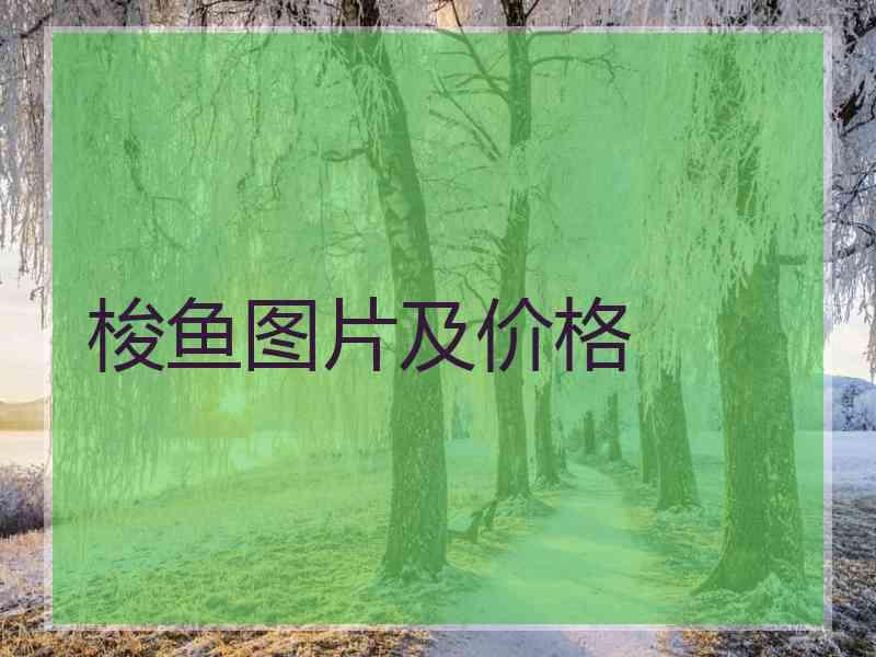 梭鱼图片及价格