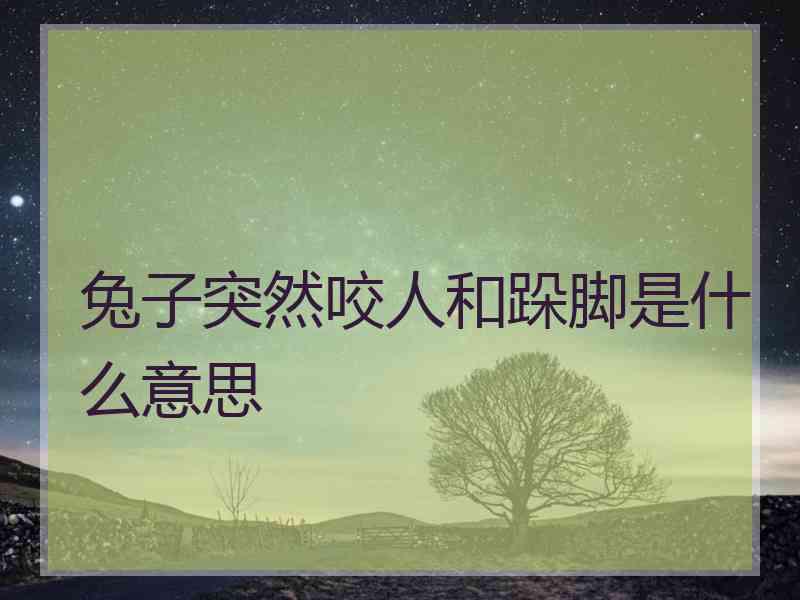 兔子突然咬人和跺脚是什么意思