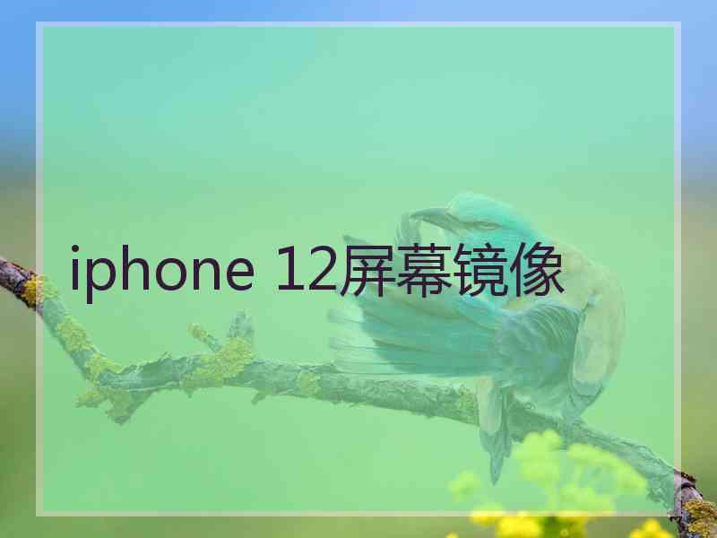 iphone 12屏幕镜像