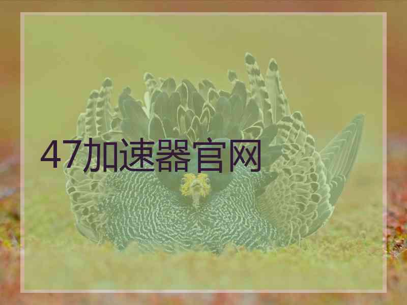 47加速器官网