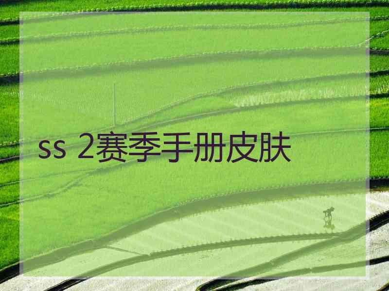 ss 2赛季手册皮肤