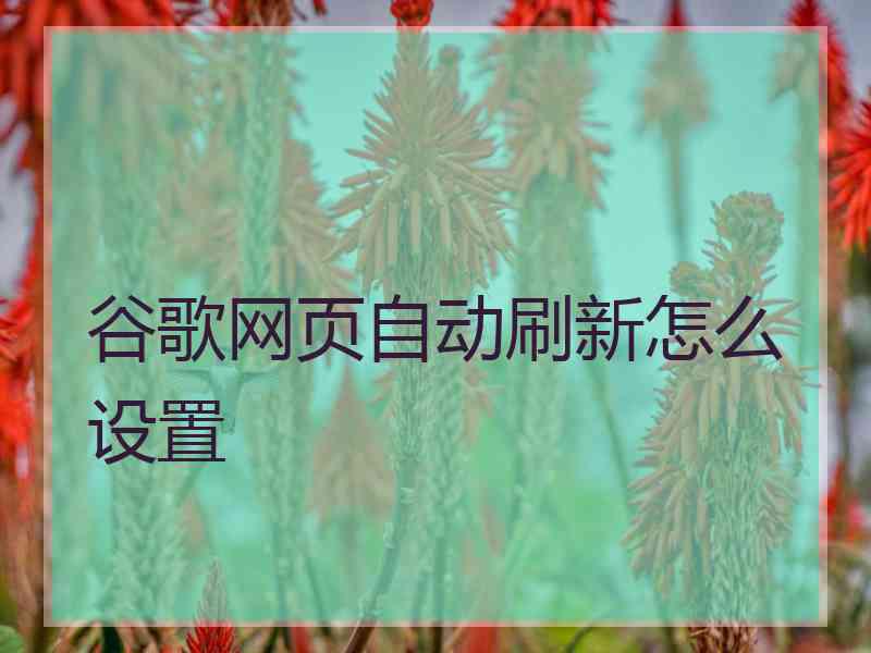 谷歌网页自动刷新怎么设置