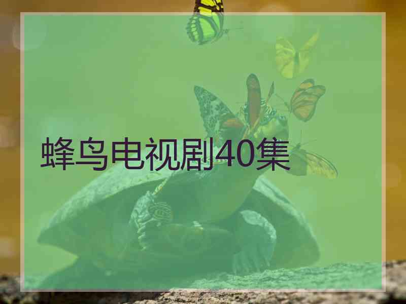 蜂鸟电视剧40集
