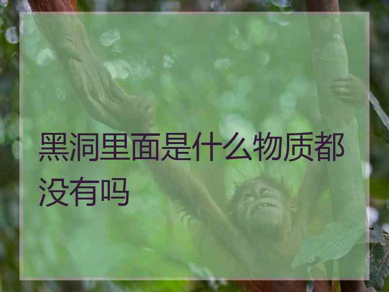 黑洞里面是什么物质都没有吗