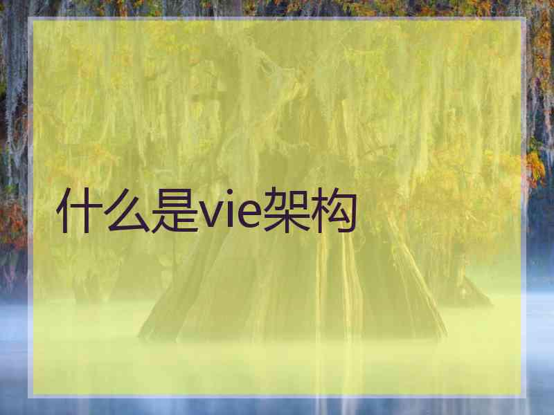 什么是vie架构
