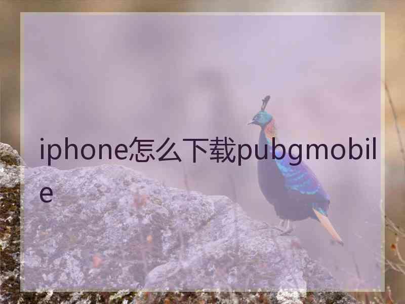 iphone怎么下载pubgmobile