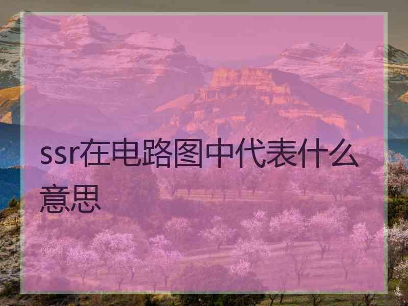 ssr在电路图中代表什么意思