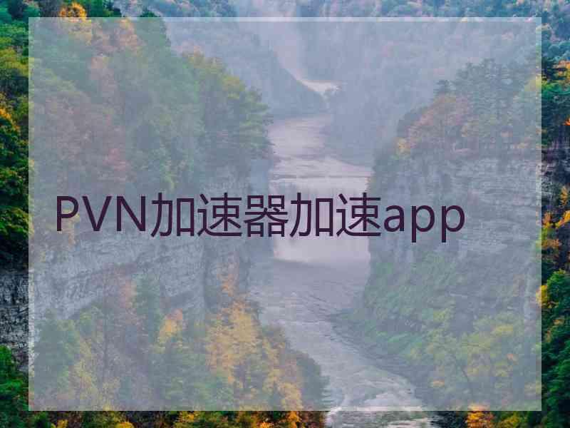 PVN加速器加速app