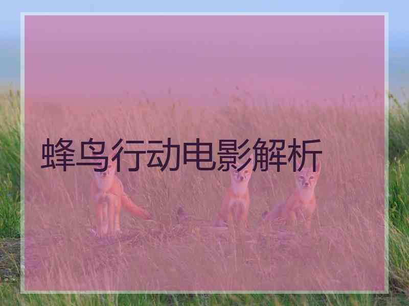 蜂鸟行动电影解析