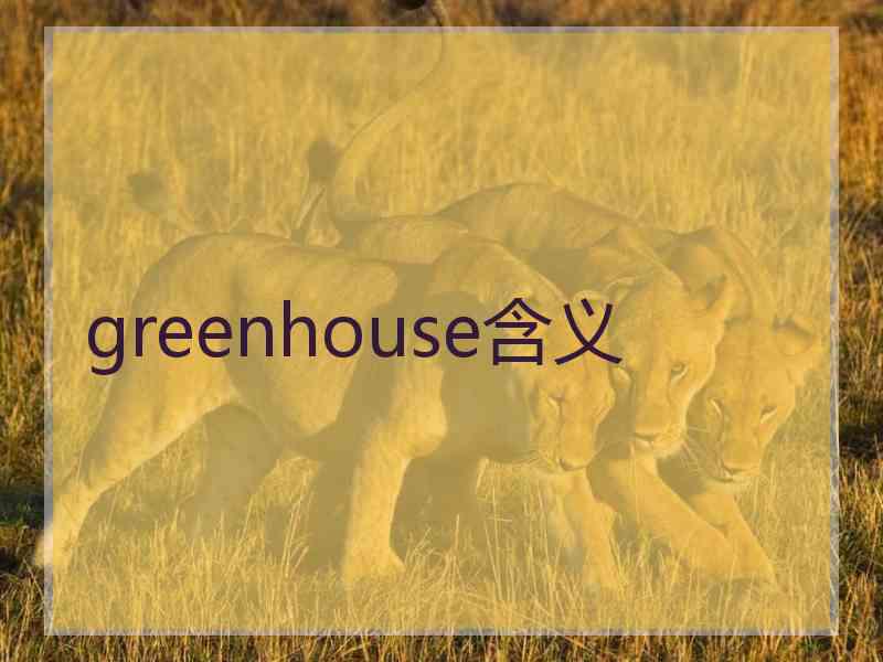greenhouse含义