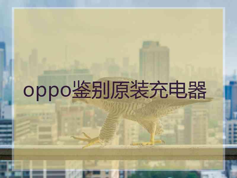 oppo鉴别原装充电器