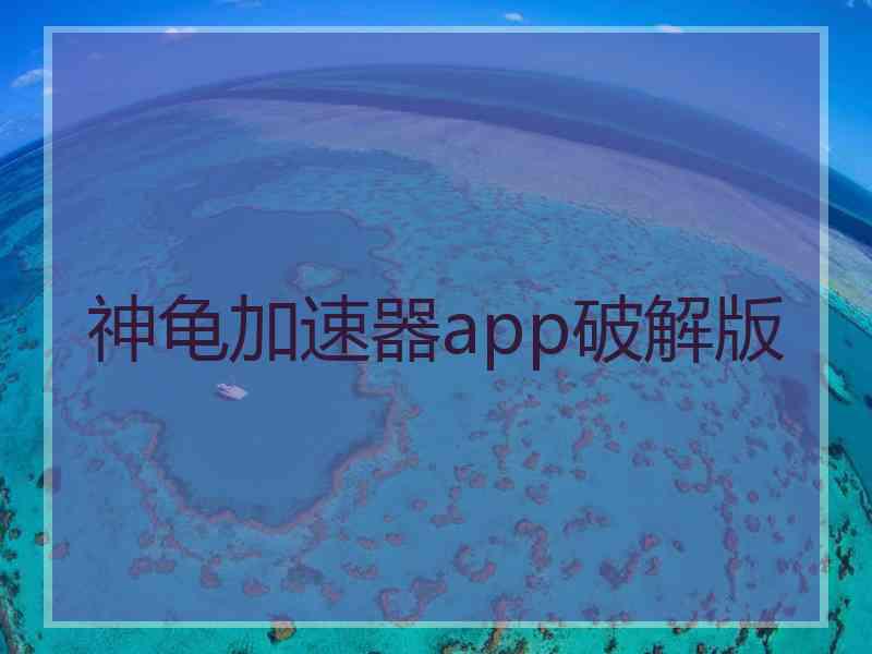 神龟加速器app破解版
