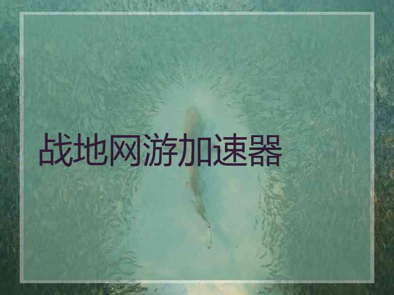 战地网游加速器