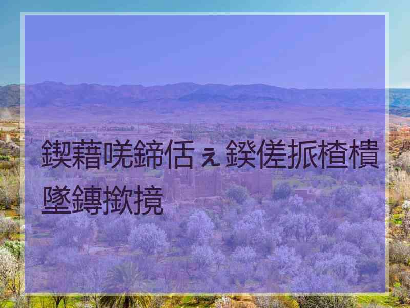 鍥藉唴鍗佸ぇ鍨傞挀楂樻墜鏄撳摬