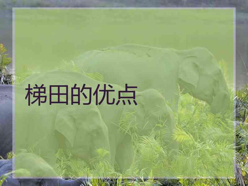 梯田的优点
