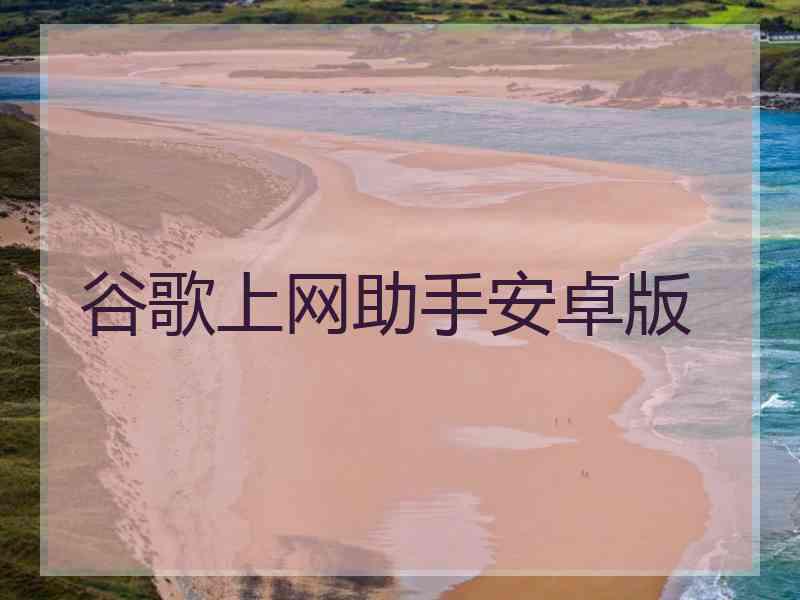 谷歌上网助手安卓版