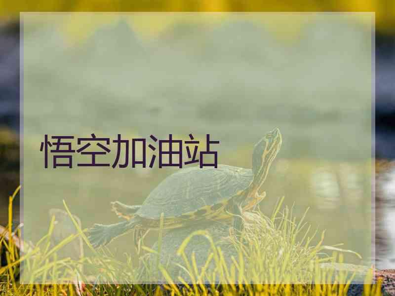 悟空加油站