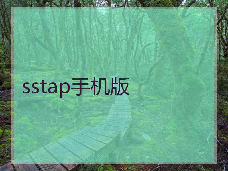 sstap手机版