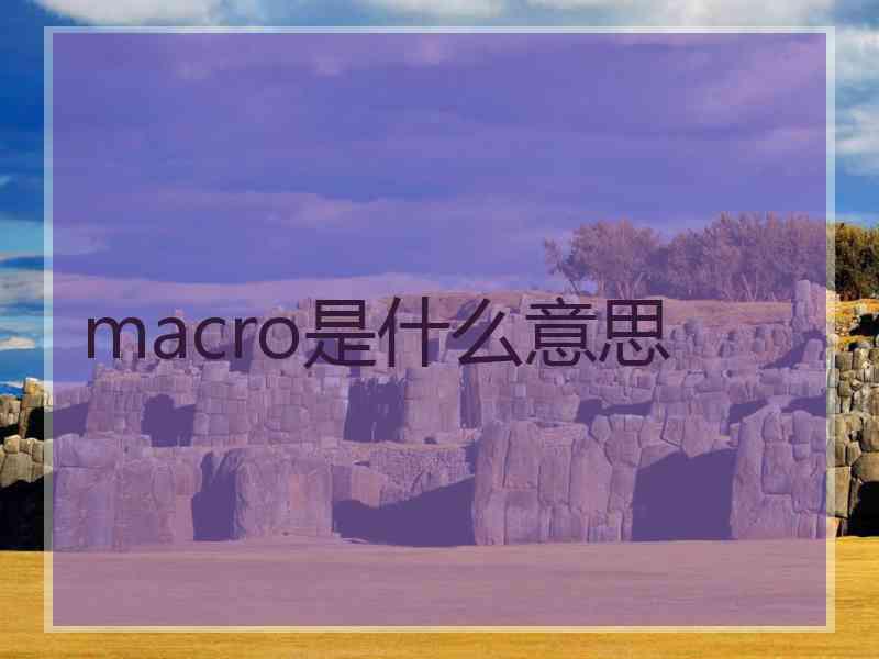 macro是什么意思