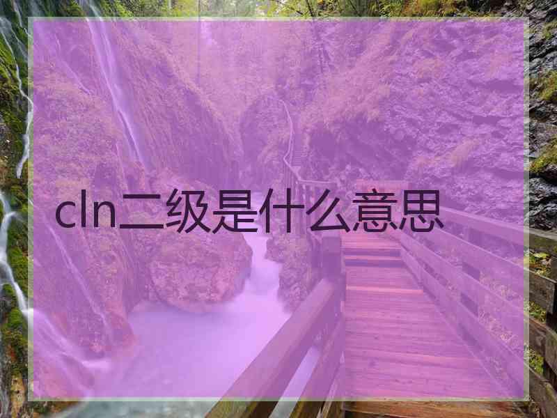 cln二级是什么意思