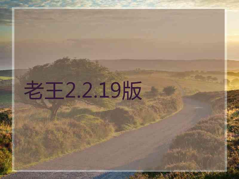 老王2.2.19版