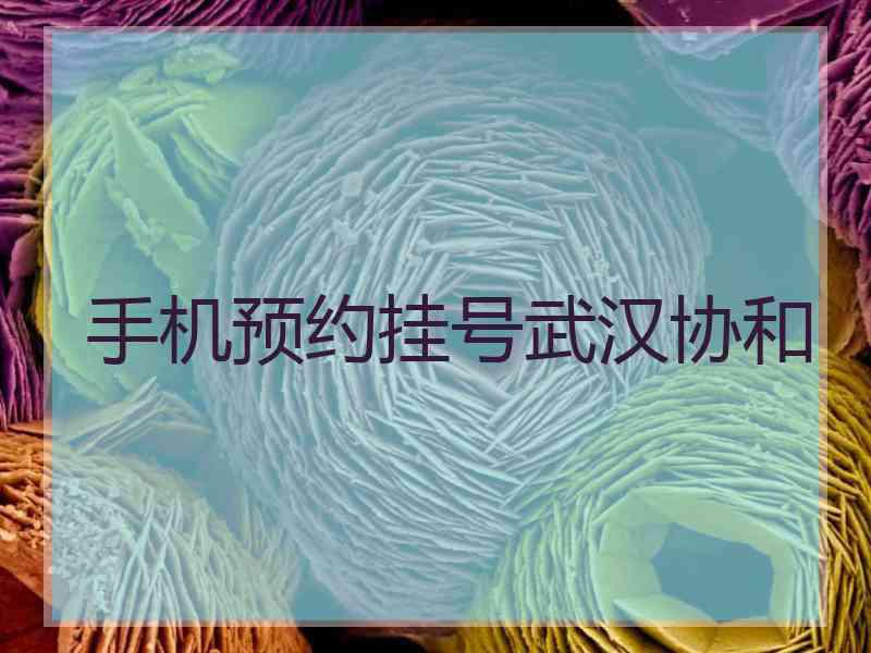 手机预约挂号武汉协和