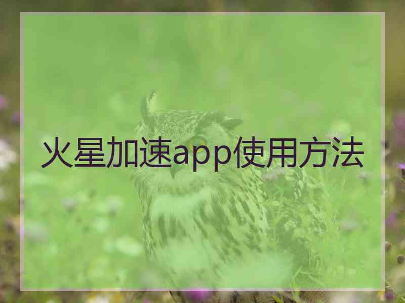 火星加速app使用方法
