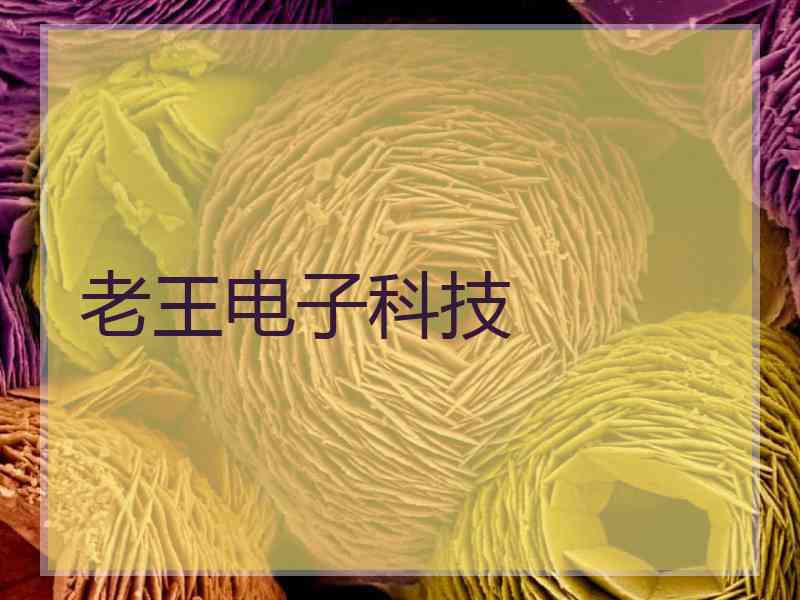 老王电子科技