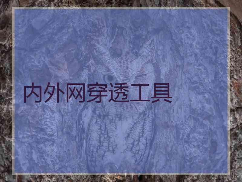 内外网穿透工具