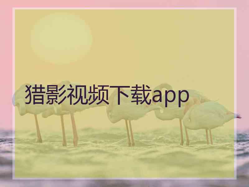 猎影视频下载app
