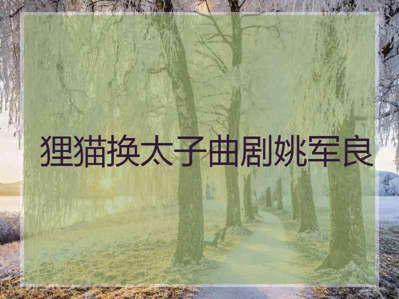 狸猫换太子曲剧姚军良