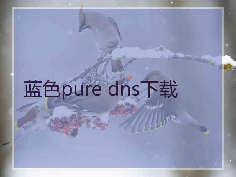 蓝色pure dns下载