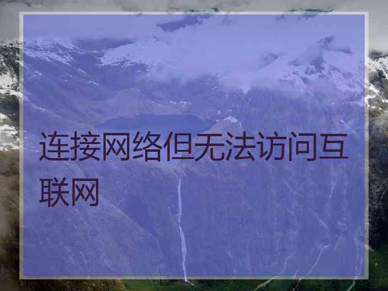 连接网络但无法访问互联网