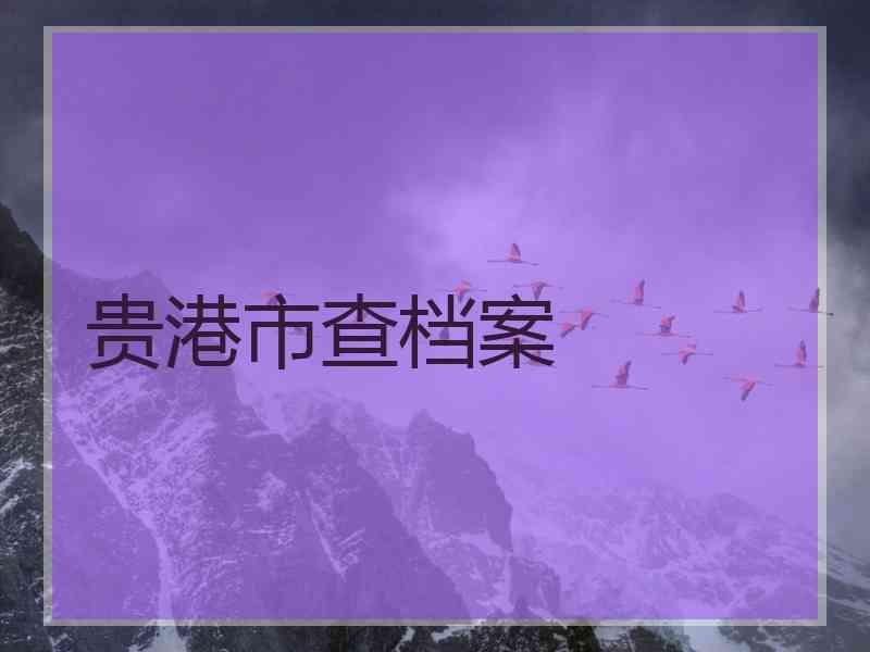 贵港市查档案