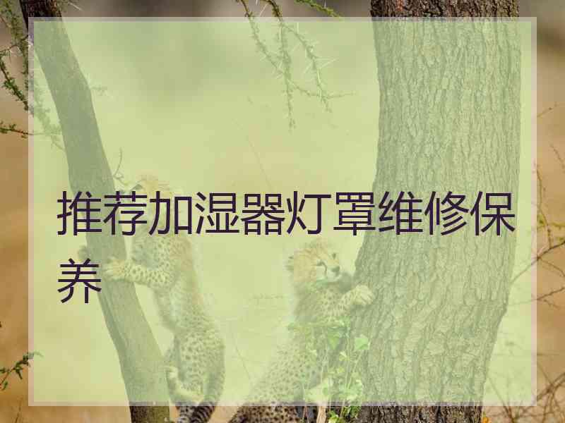 推荐加湿器灯罩维修保养