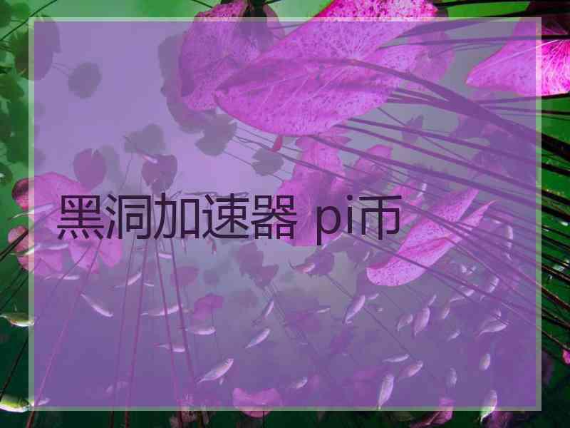 黑洞加速器 pi币