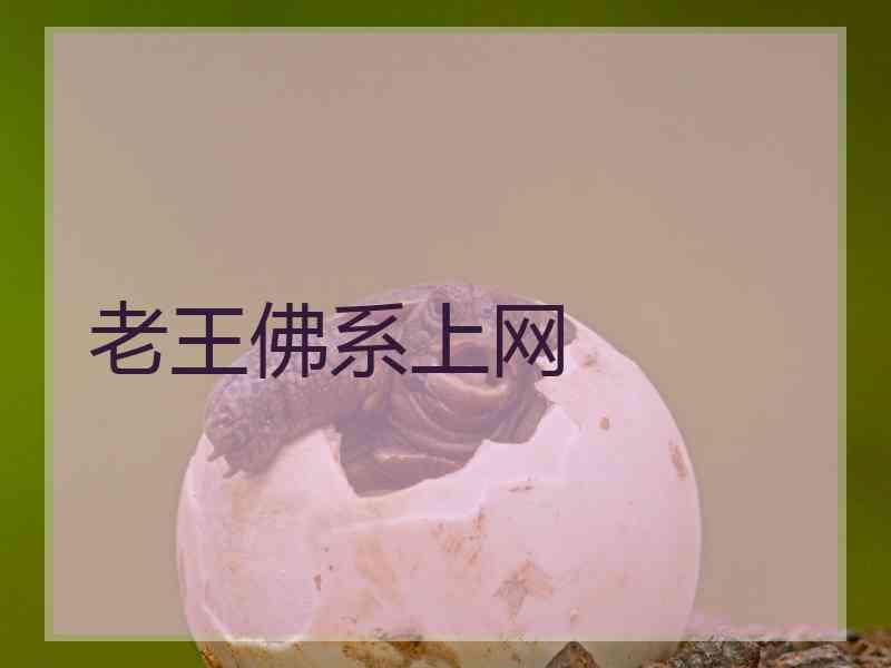老王佛系上网