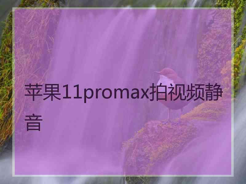 苹果11promax拍视频静音