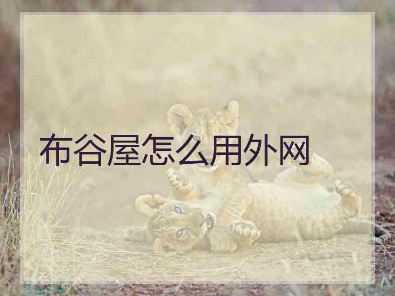 布谷屋怎么用外网
